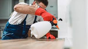 Emergency Pest Control Services in Norridge, IL